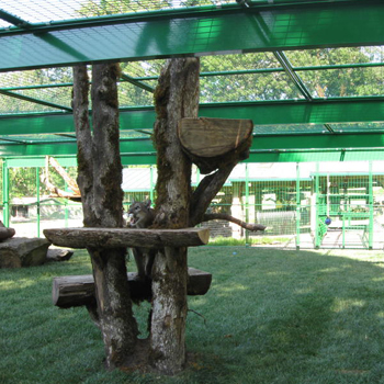 Exotic Animal Cage Green Enclosure
